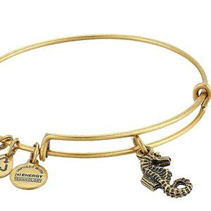 Alex and Ani seahorse charm bracelet